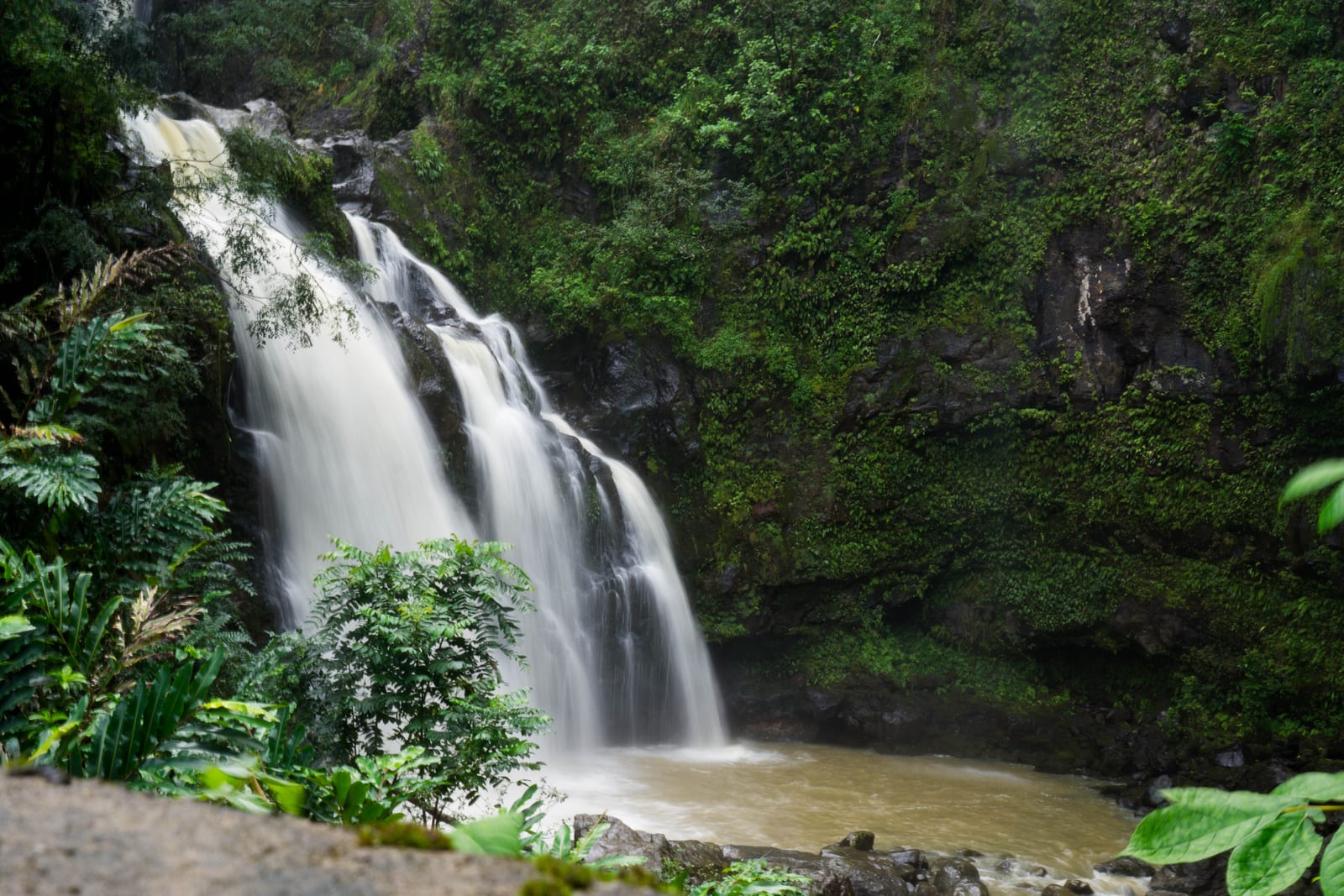 Waterfall cascading through lush green foliage